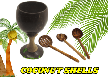 COCONUT SHELL