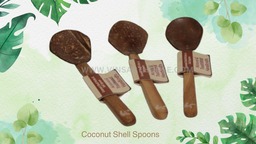   Coconut Shell Spoon Set of 3 for Small Containers | Handmade ...