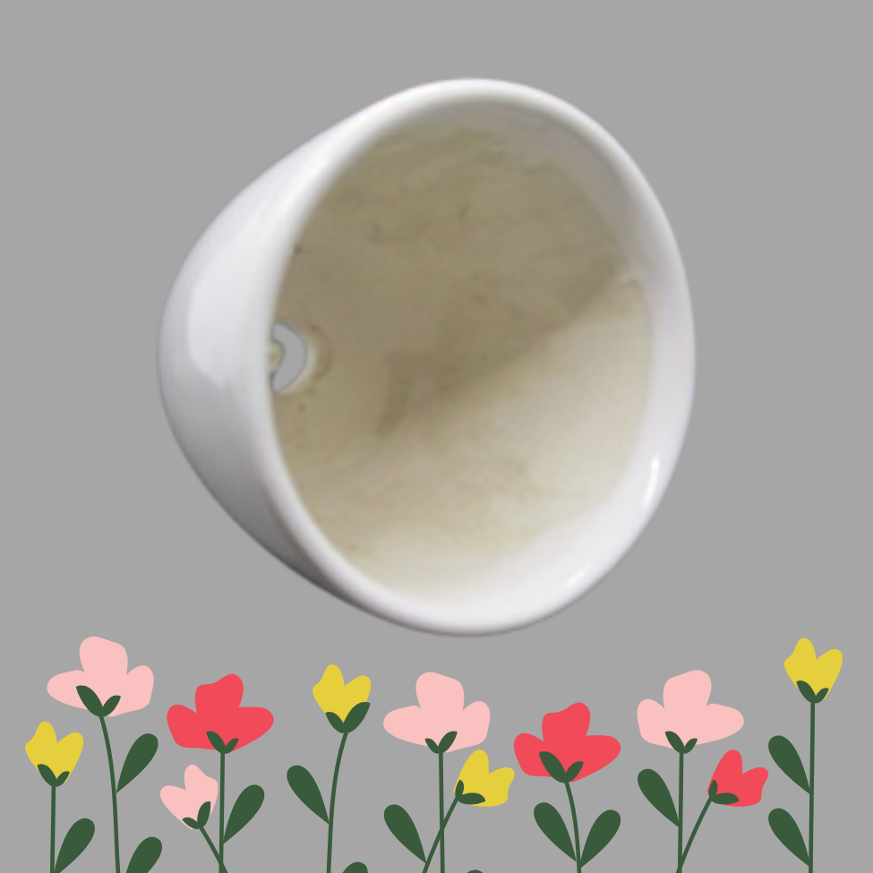 White Color Ceramic Plant Pot | Round  Pot | Indoor Plant Pot 